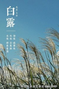 <b>露從今夜白，夜自此日涼！</b>